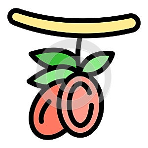 Vegan fruit eco icon vector flat