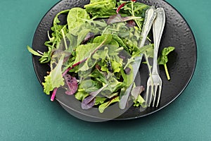 Vegan green salad, healthy food