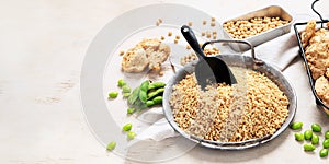 Vegan healthy food. Soy meat with beans on white background