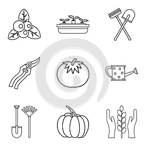 Vegan herbivore icons set, outline style