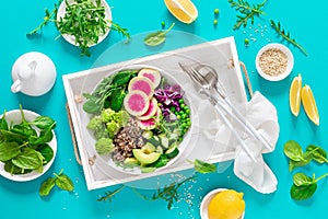 Vegan lunch bowl with quinoa, cucumber, green peas, radish, romanesco and red cabbage, avocado, spinach and arugula salad, healthy