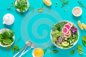 Vegan lunch bowl with quinoa, cucumber, green peas, radish, romanesco and red cabbage, avocado, spinach and arugula salad, healthy