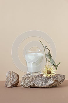 Vegan plant almond nut milk , minimalist  composition with natural material stone, a glass with milk, dried sunflower and almond