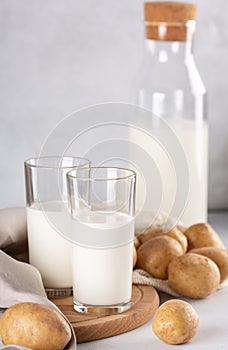 Vegan plant based milk in two transparent glasses and bottle. Alternative potato milk and potato tubers on gray table