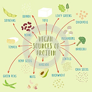 Vegan plant-based sources of protein