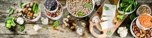 Vegan plant protein sources