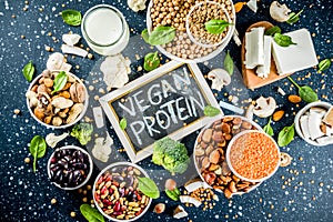 Vegan plant protein sources