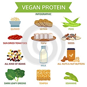 Vegan protein info graphic, icon food vector, illustration photo