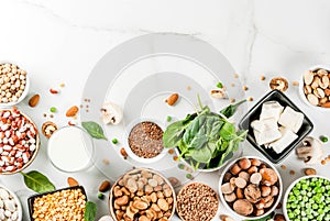 Vegan protein sources