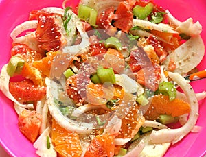 Vegan salad with fennel, orange and mint