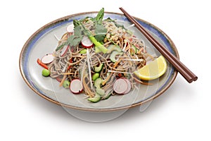 Vegan soba noodle salad