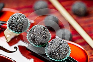 Vegan sweets, Raw food sweets with poppy seeds on a beautiful red violin close-up. Healthy sweets