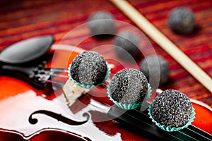 Vegan sweets, Raw food sweets with poppy seeds on a beautiful red violin close-up. Healthy sweets