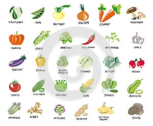 Vegan, vegetarian set of icons with vegetables. Natural colors. Vegetables, mushrooms, grass and roots. Proper nutrition. Vegetabl