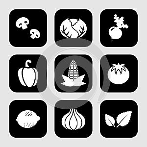 Vegatable icons set great for any use. Vector EPS10.