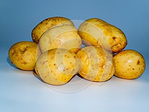 Vegetable agricultural crop of the Solanum tuberosum plant