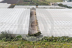 Vegetable agriculture in hot houses