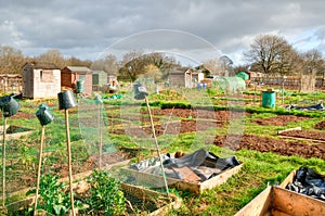 Vegetable allotments