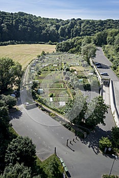 Vegetable Allotments in France