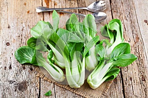 Vegetable assortment, fresh green Chinese cabbage, bok choy, pok choi or pak choi on dark background.