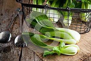 Vegetable assortment, fresh green Chinese cabbage, bok choy, pok choi or pak choi on dark background.