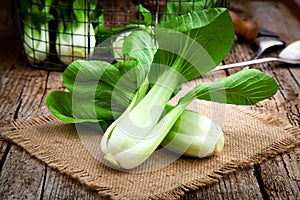 Vegetable assortment, fresh green Chinese cabbage, bok choy, pok choi or pak choi on dark background.