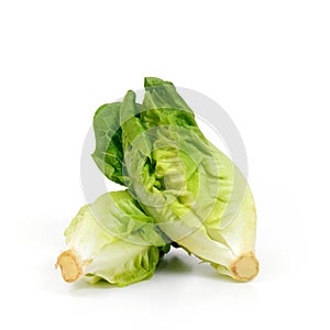 Vegetable Baby Cos lettuce put in beautiful isolate on white