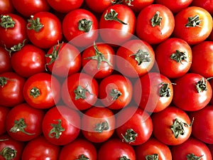 Vegetable background. Background of red tomatoes.