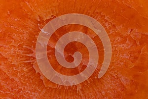 Vegetable background texture. Close-up of a fresh sliced carrot. Macro. Helath concept photo