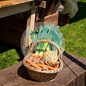 Vegetable basket photo