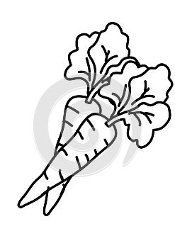 Vegetable black and white lineart illustration