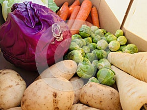 vegetable box close up