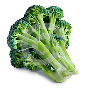 Vegetable broccoli isolated