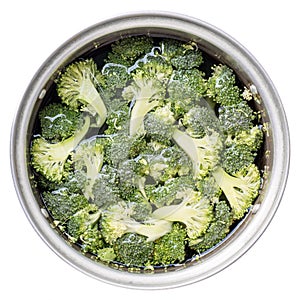 Vegetable. Broccoli slice.