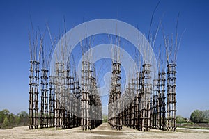 The Vegetable Cathedral in Lodi, Italy, made up 108 wooden columns among which an oak tree has been planted