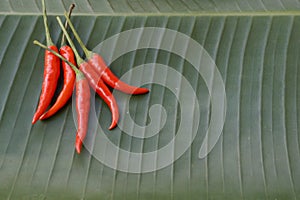 Vegetable Chili Background