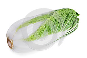 Vegetable Chinese cabbage isolated