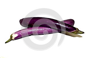 Vegetable - Chinese Eggplant