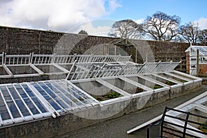 Vegetable in cold frames at the lost Gardens of Heligan. Some are propped open to allow air circulation