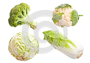 Vegetable collage