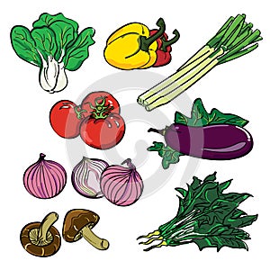 Vegetable Color Set
