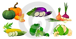 Vegetable composition, set of fresh eco products