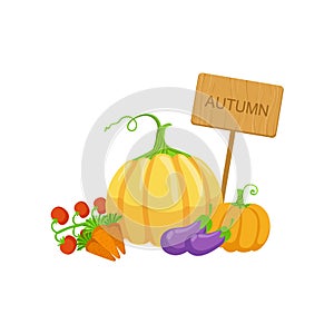 Vegetable Crops As Autumn Attribute