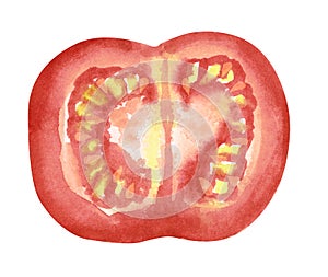 Vegetable, cut to half slice tomato, hand drawn watercolor illustration