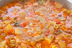 Vegetable dish sabzi with tomato sauce