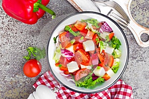 Vegetable dish, salad with bell pepper, tomato, italian mix, fresh lettuce and mozzarella cheese. Healthy food