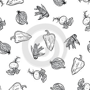 Vegetable doodle pattern hand drawing on white background. Doodle drawing vegetable pattern. Ripe autumn crop and