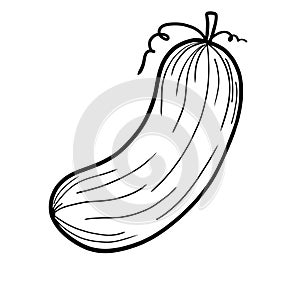 vegetable doodles clipart