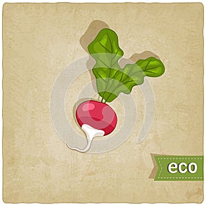 Vegetable eco old background