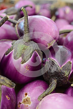 Vegetable eggplants from market